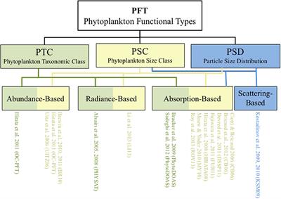 A Consumer's Guide to Satellite Remote Sensing of Multiple Phytoplankton Groups in the Global Ocean